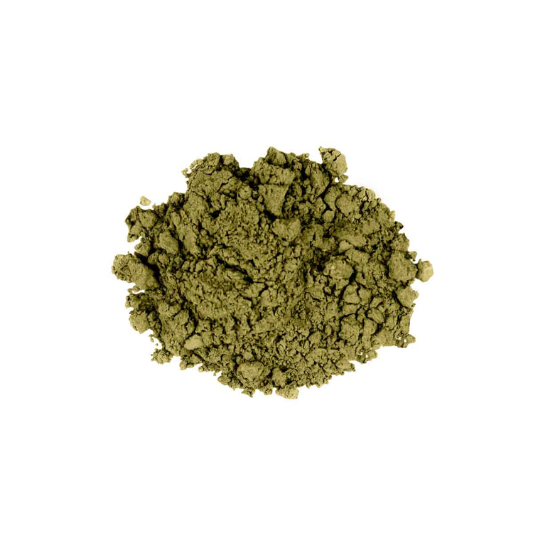 Uoga Uoga Eye Shadow Norhern Fern 720