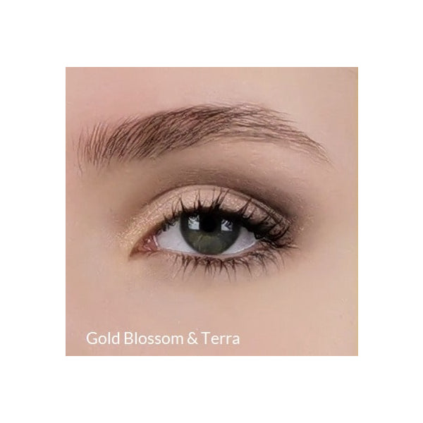 Minerale oogschaduw Terra